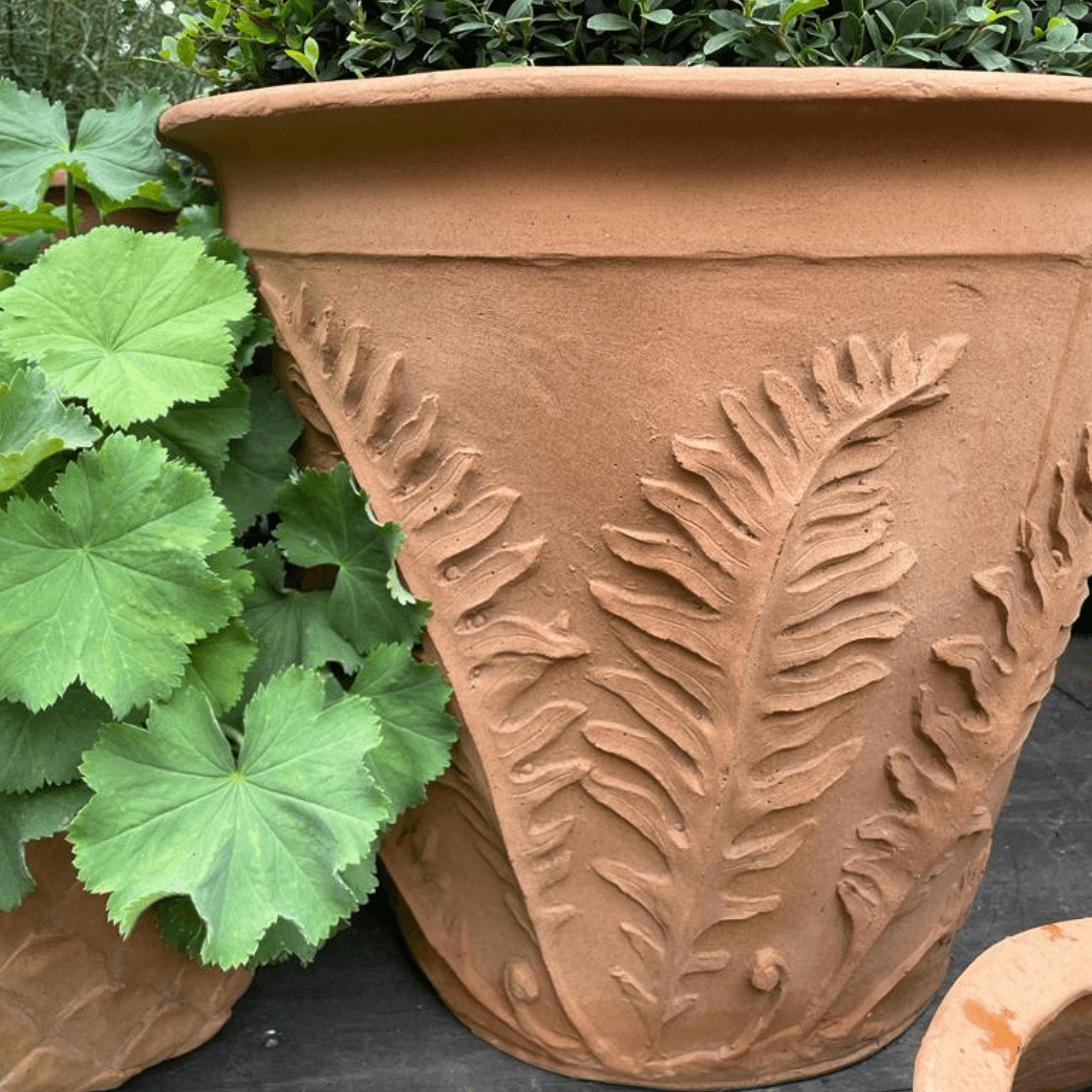 decorative clay pots for plants Fibrecotta Tapered Fern Planter (H46 x Ø56 cm)