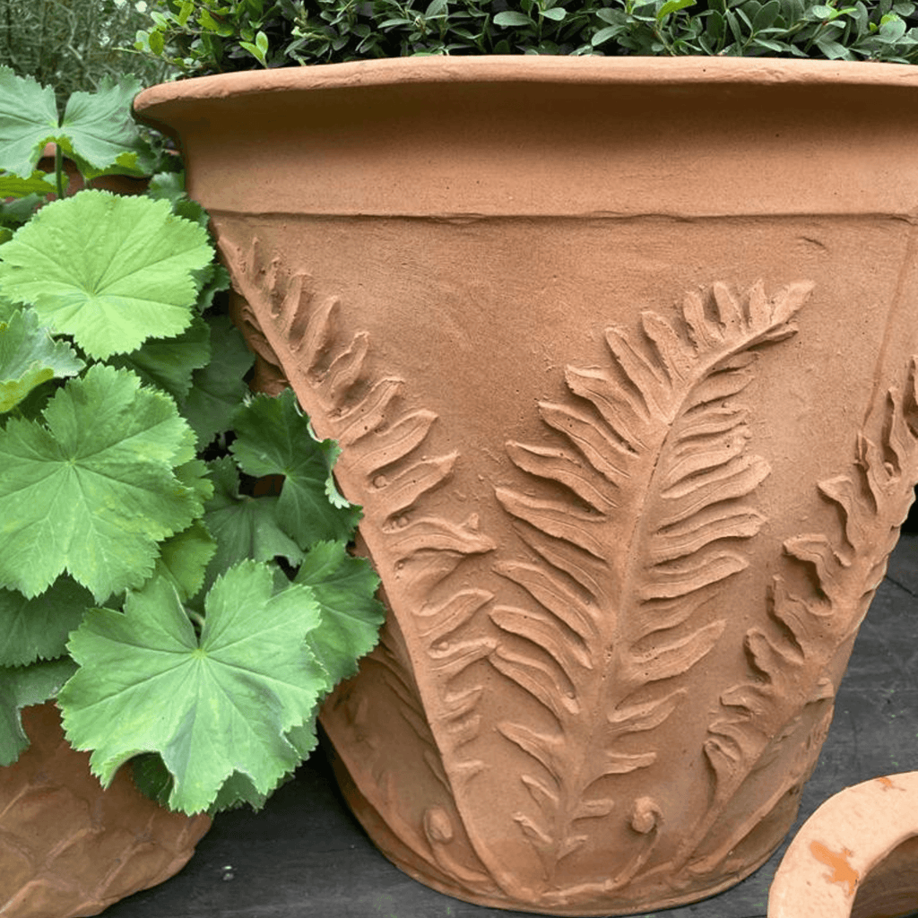 Fern Garden Pot in a Terracotta Finish - Outdoor Planters - The Well Appointed House