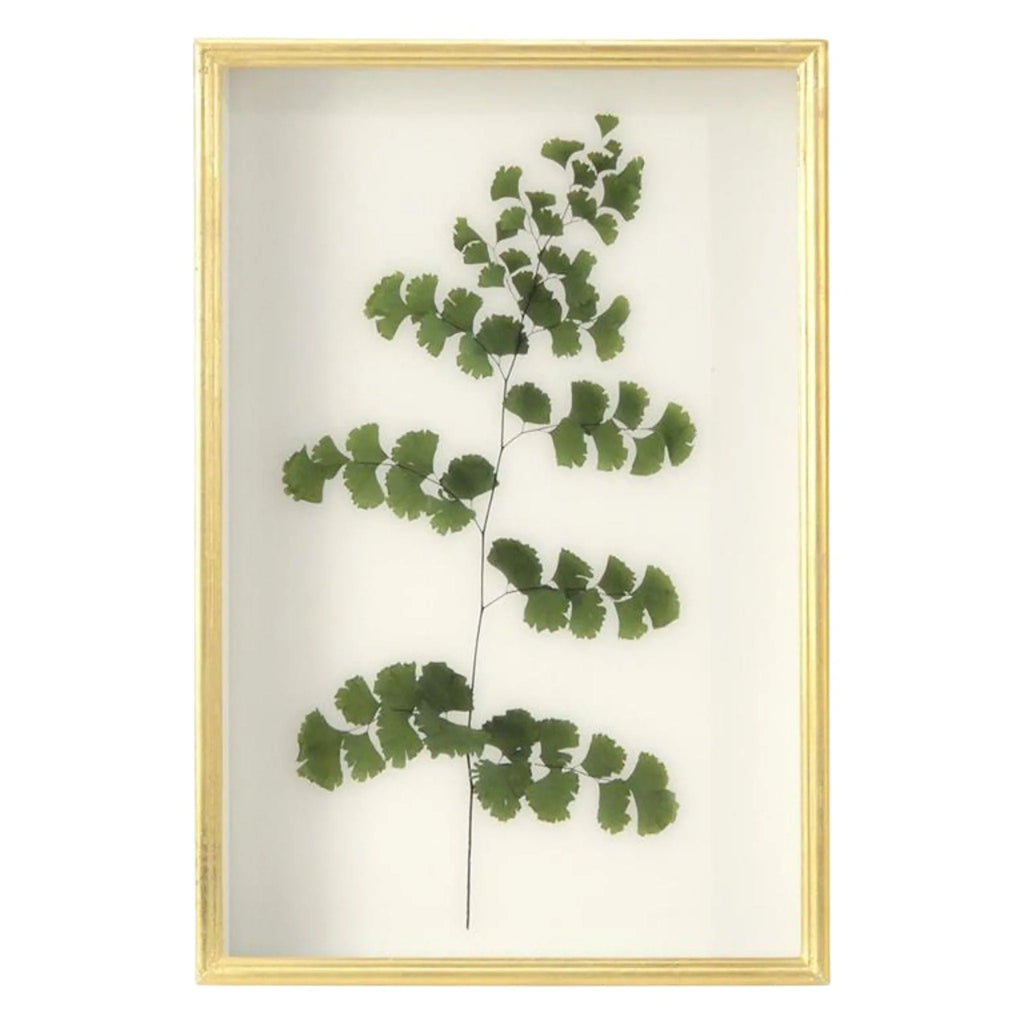 Fern I Framed Wall Art - Paintings - The Well Appointed House
