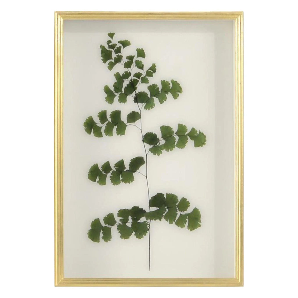 Fern III Framed Wall Art - Paintings - The Well Appointed House