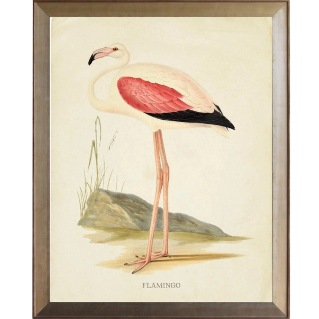 Flamingo With Pink Wing Framed Wall Art - Paintings - The Well Appointed House