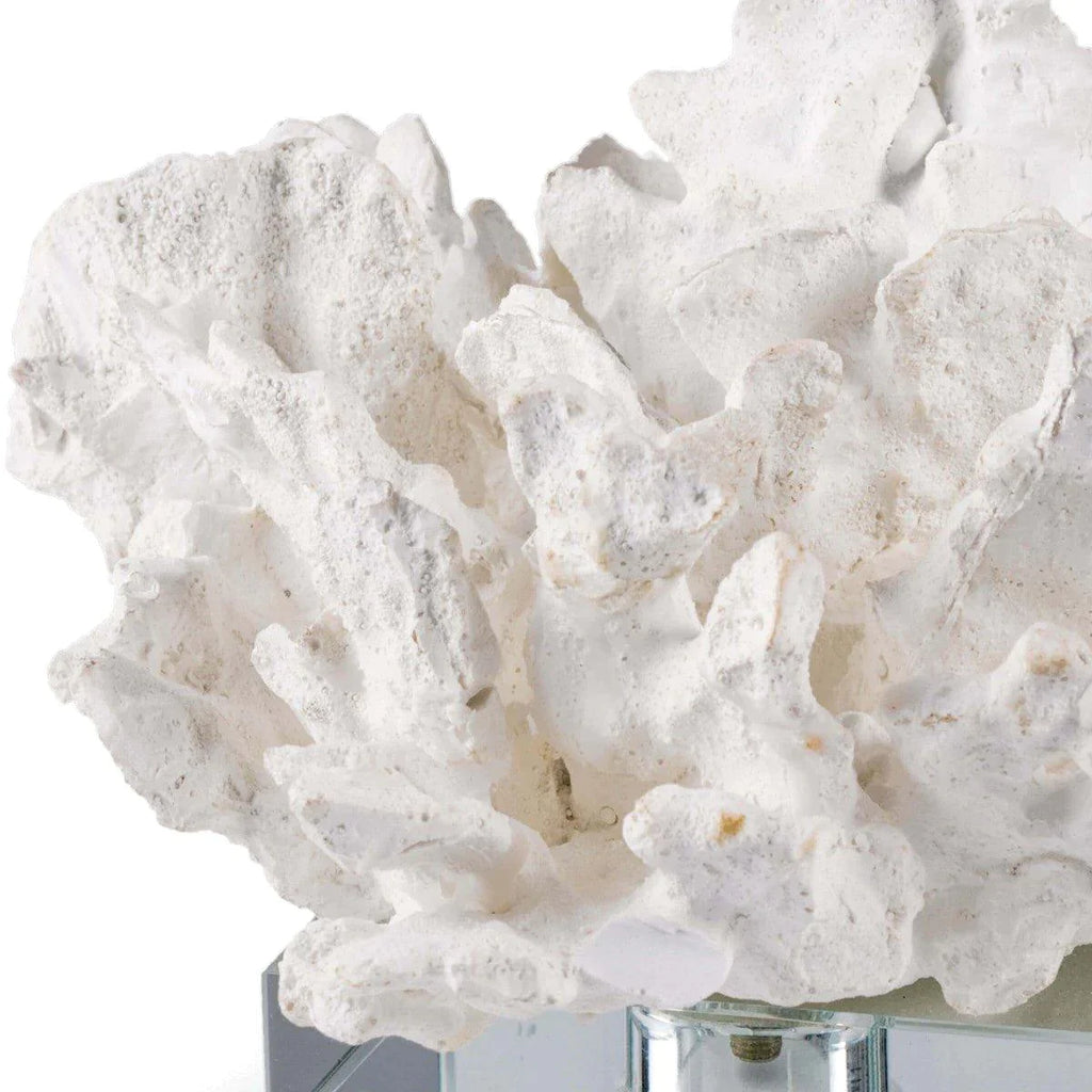 Flower Coral On Crystal Base (White) - Decorative Objects - The Well Appointed House