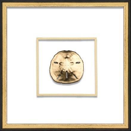 Gold Sand Dollar Coastal Beach Wall Art in Black & Gold Frame - Framed Objects, Maps & Posters - The Well Appointed House