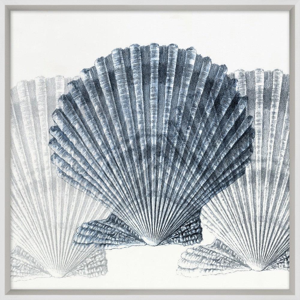 Indigo Shell Compilation 4 Framed Wall Art - Paintings - The Well Appointed House