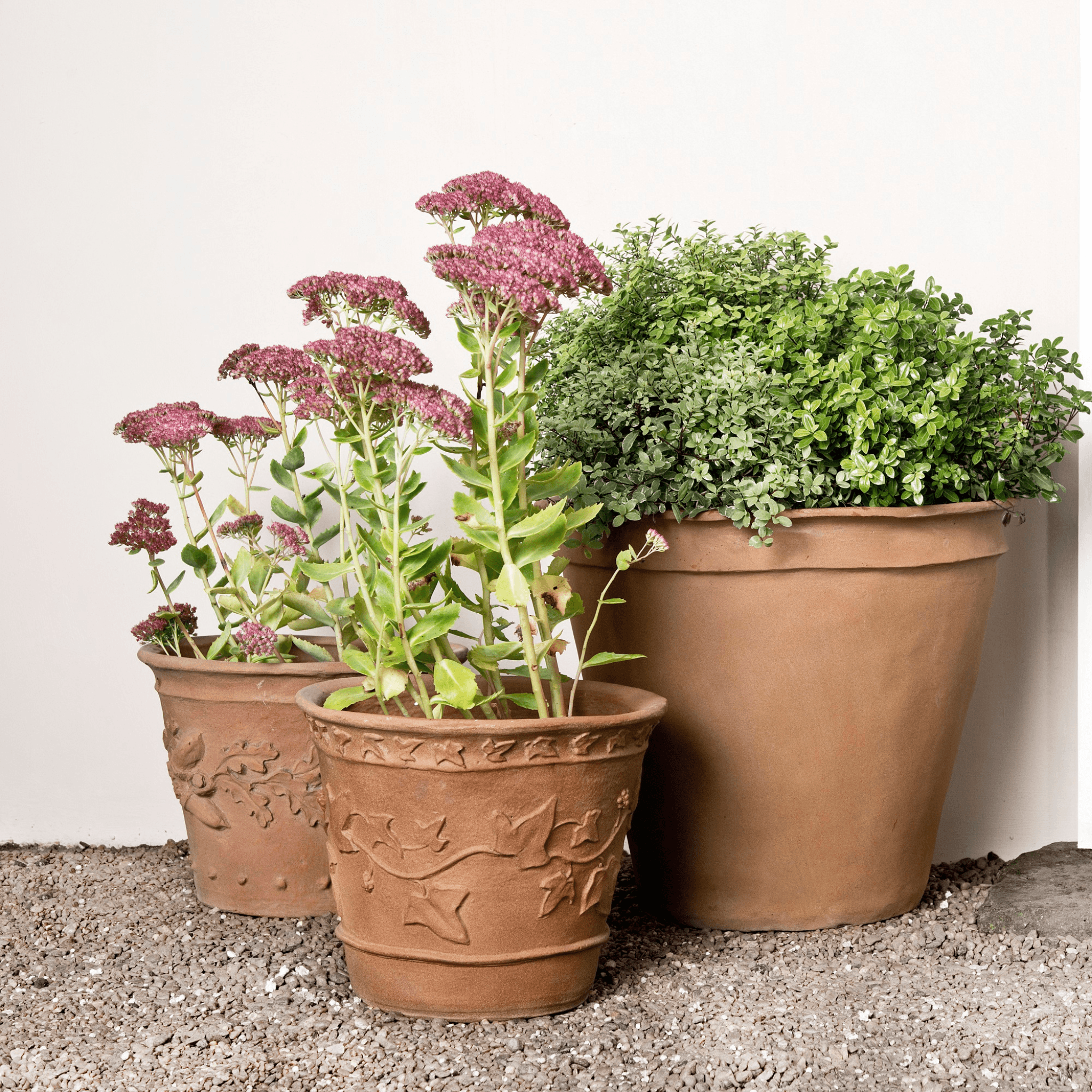 pots for ivy plants Ivy Brown Fiberglass Round L Terracotta Planter Pot D67 H60 cm, 211L