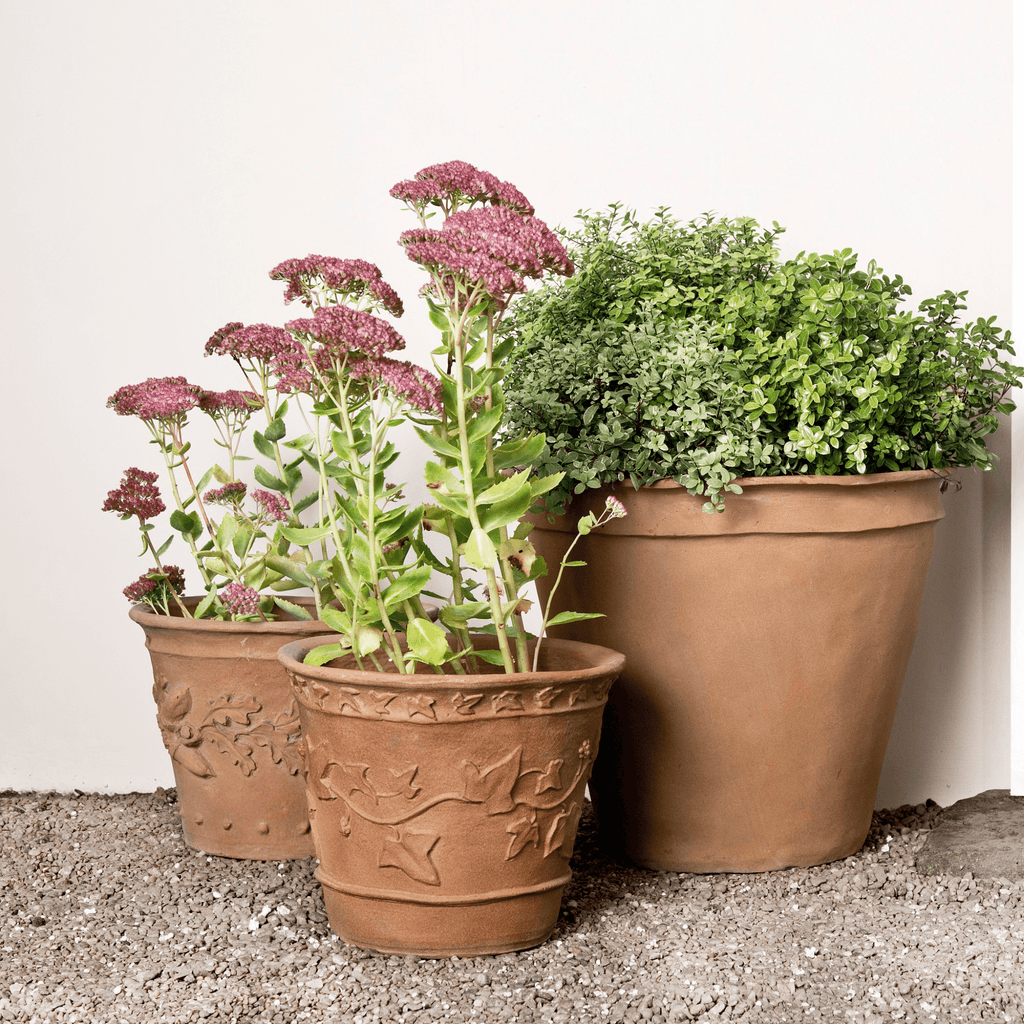 Ivy Pattern Garden Pot - Outdoor Planters - The Well Appointed House