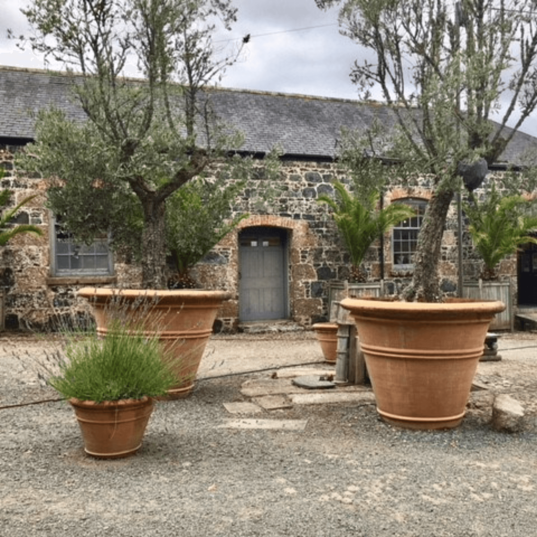 large outdoor plant pots for trees Large Pot Brown Fiberglass Round Tall L Terracotta Planter D97 H61 cm, 451L
