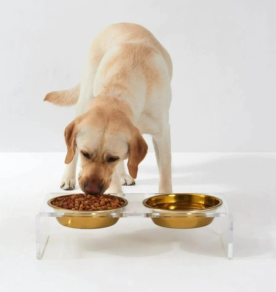 Large Clear Double Dog Bowl Feeder with Gold Bowls - Pet Accessories - The Well Appointed House