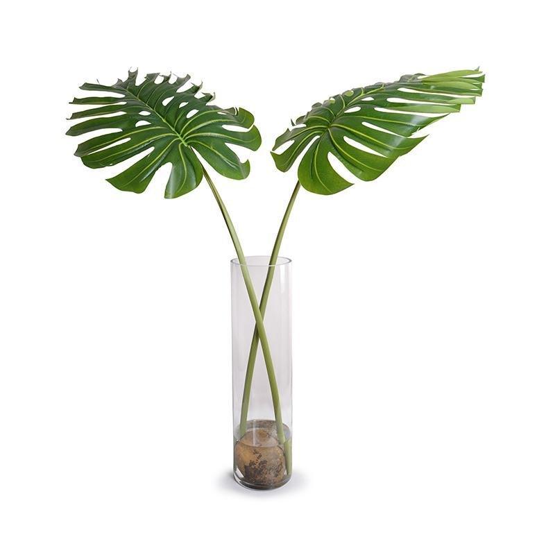 Large Faux Monstera Branches in Tall Glass Cylinder - Florals & Greenery - The Well Appointed House
