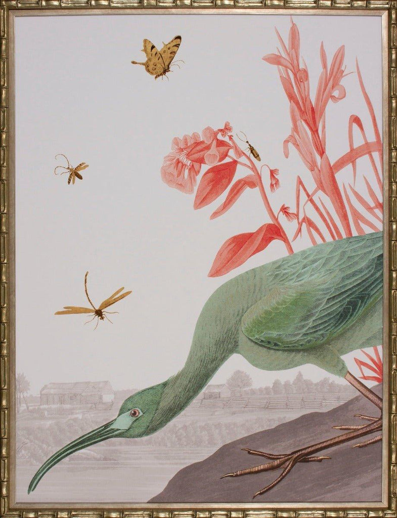 Limited Edition Glossy Green Tropical Ibis Framed Wall Art - Paintings - The Well Appointed House