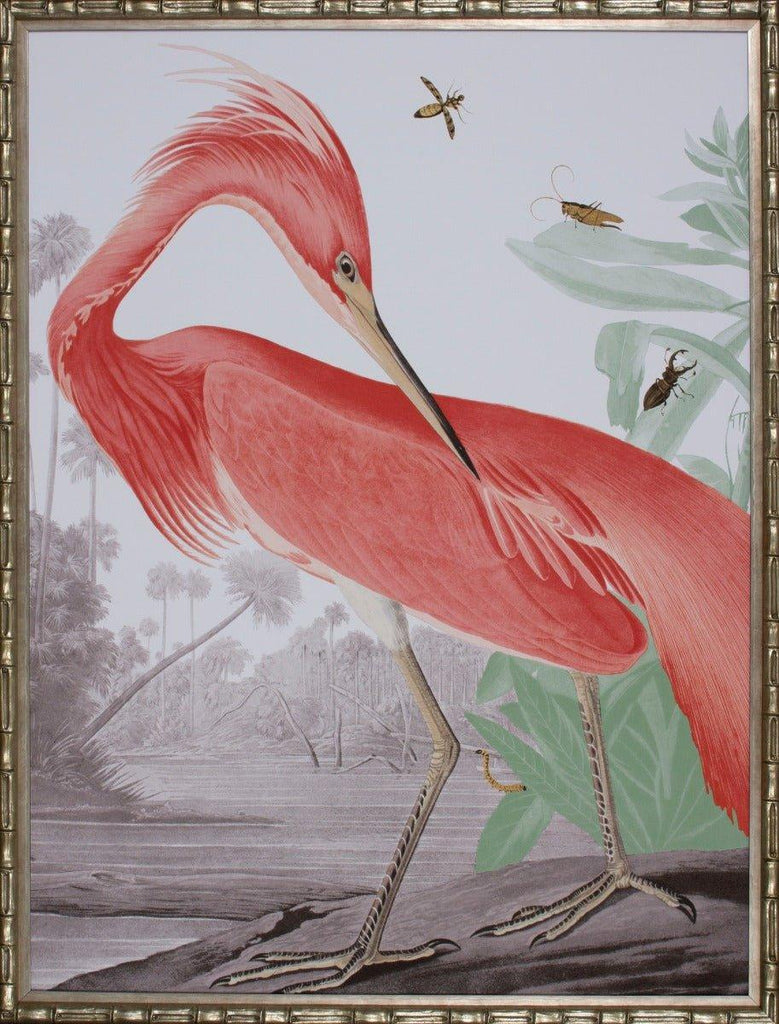 Limited Edition Louisiana Pink Heron Framed Wall Art - Paintings - The Well Appointed House