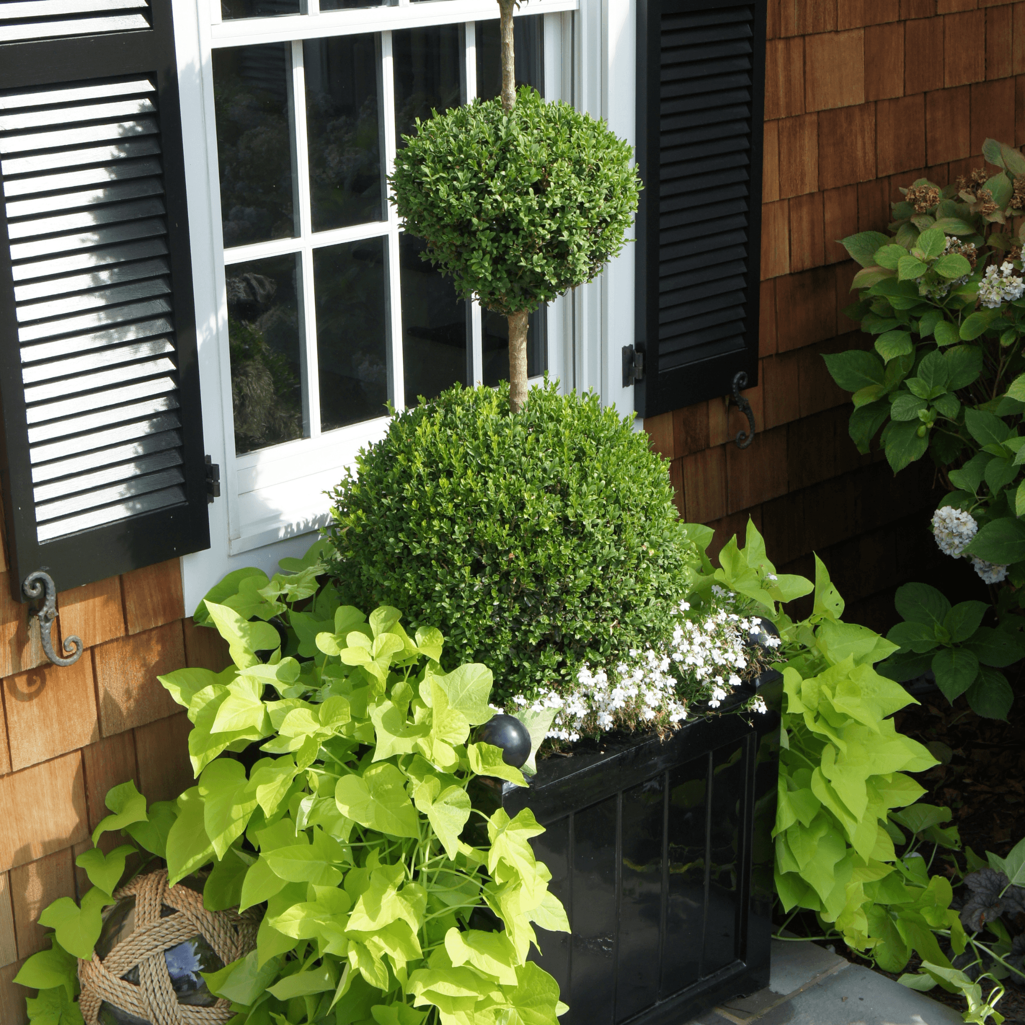 house plants manchester Manchester Classic Slatted Outdoor Garden Planter – The Well Appointed House