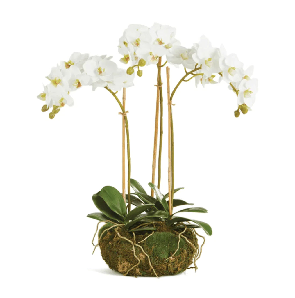 Mini Faux White Phalaenopsis Orchid Drop-in Arrangement - Florals & Greenery - The Well Appointed House