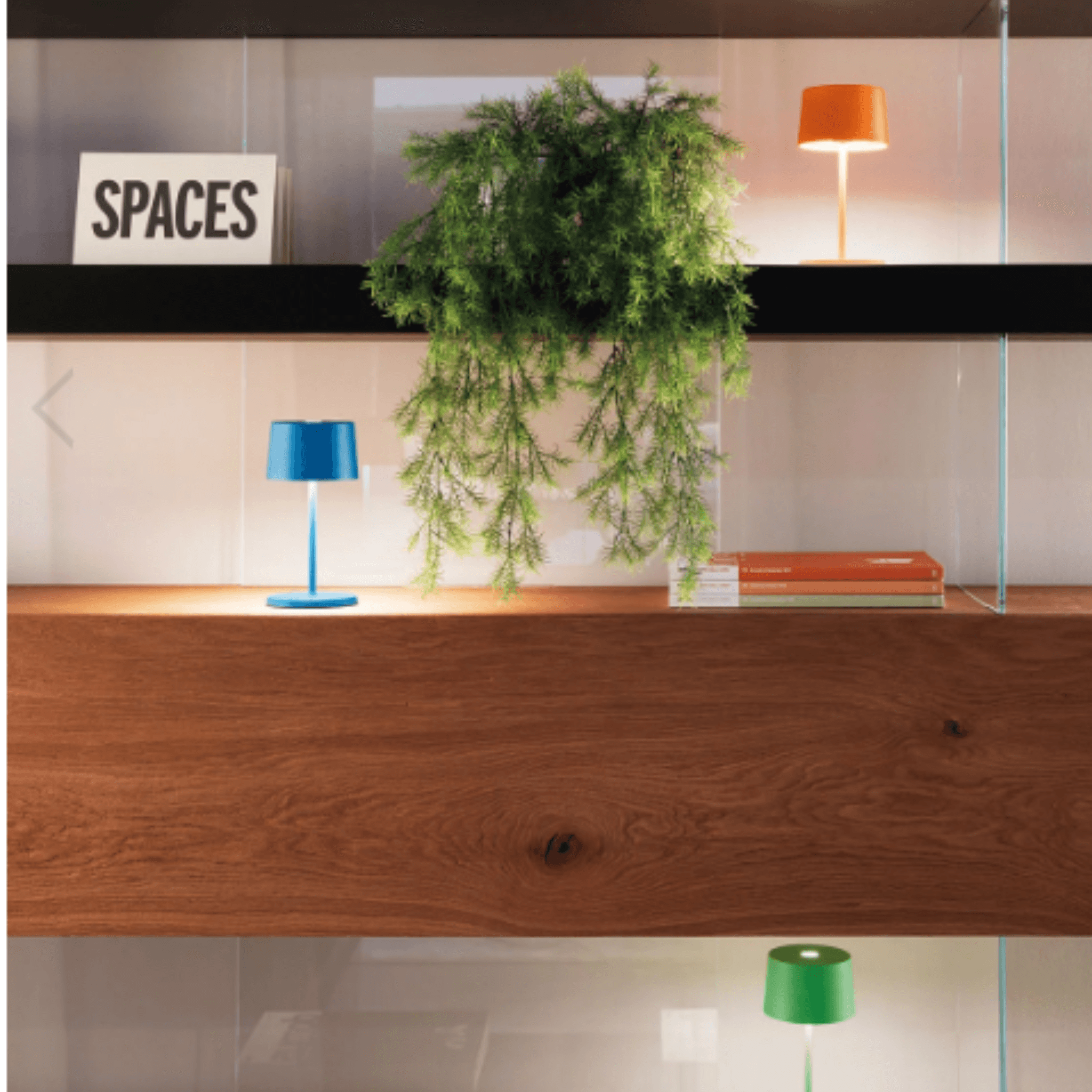 Mini Indoor/Outdoor Cordless Lamp - Available in Various Color Options ...