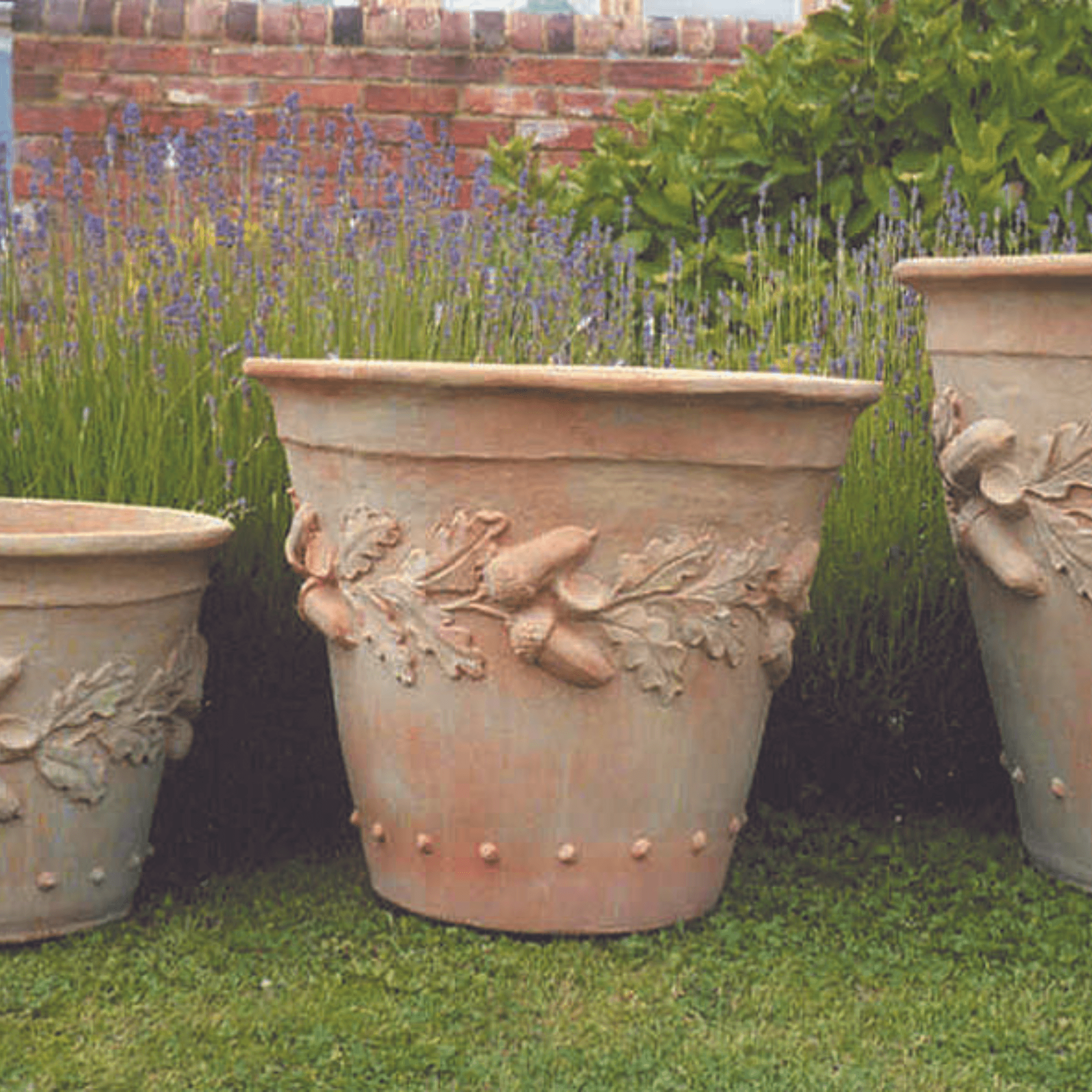 where to buy terracotta plant pots Oakleaf Garden Pot