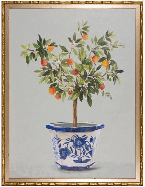 Orange Tree in Blue & White Pot Framed Wall Art - Paintings - The Well Appointed House