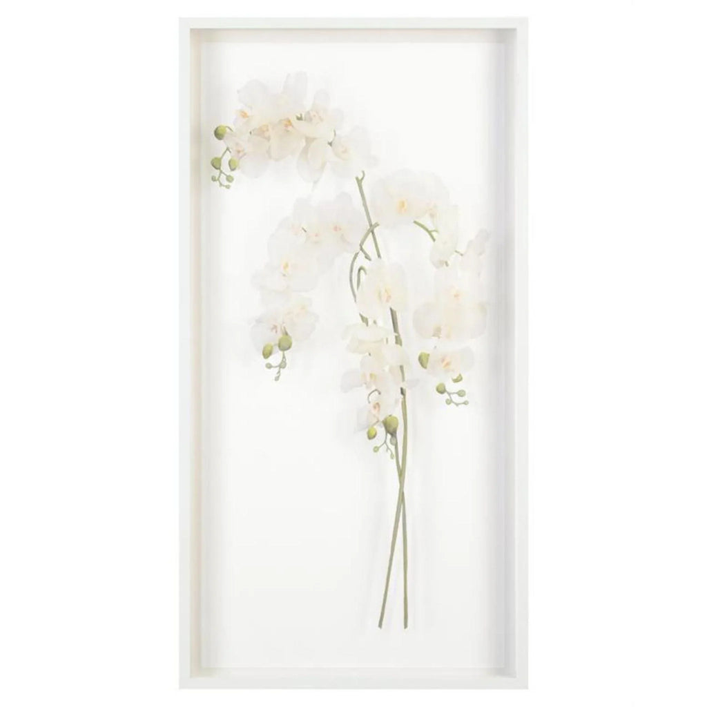 Orchids II Framed Wall Art - Paintings - The Well Appointed House