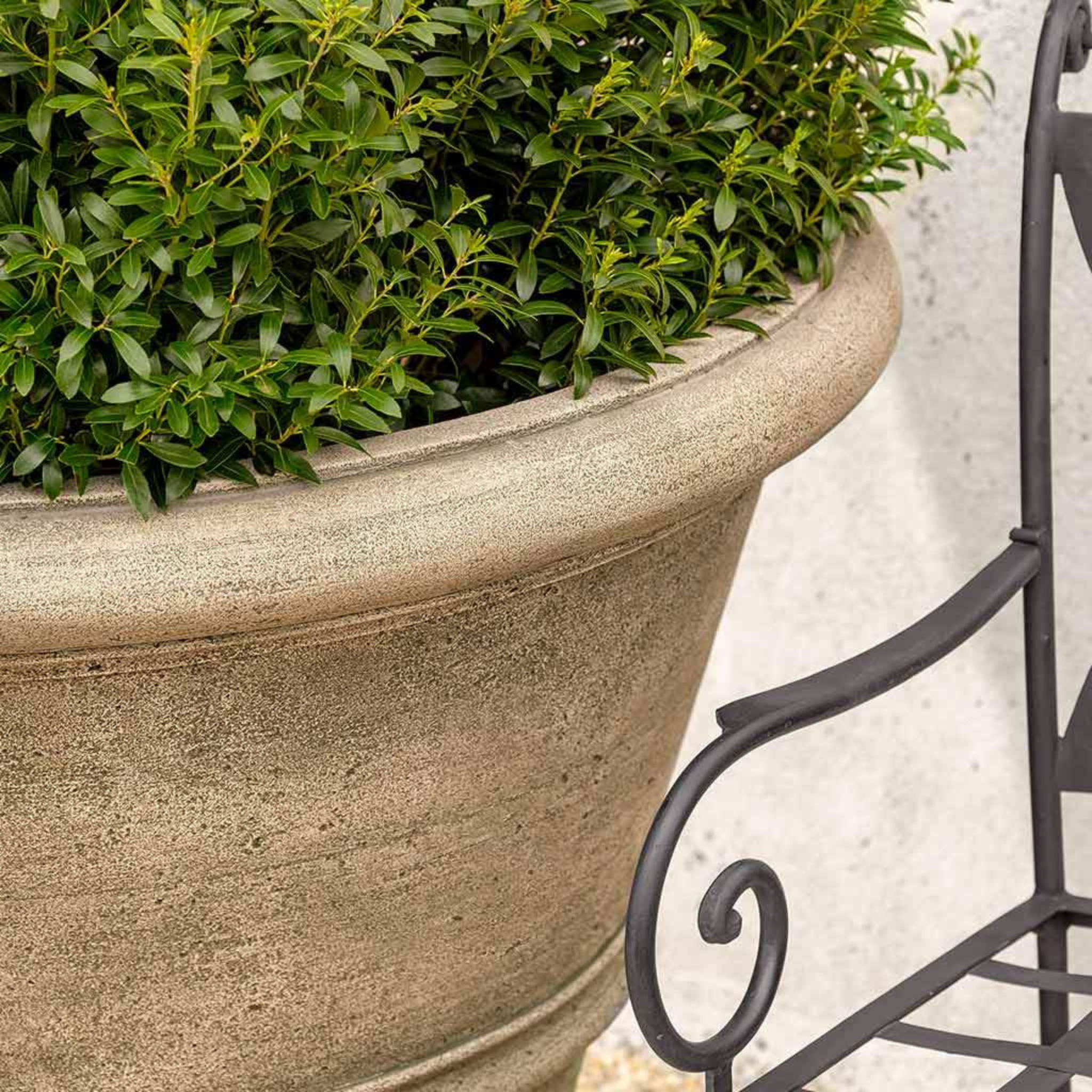 Large Textured Rolled Rim Planter – The Well Appointed House