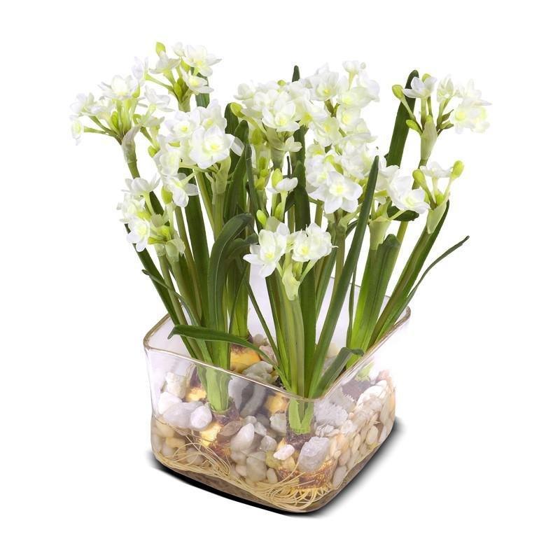 Paper White Narcissus in Square Clear Vase - Florals & Greenery - The Well Appointed House