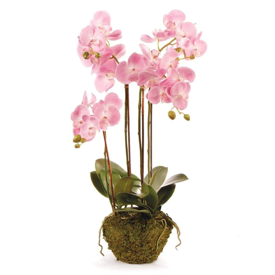 Phalaenopsis Faux Pink Orchid Drop-In - Florals & Greenery - The Well Appointed House