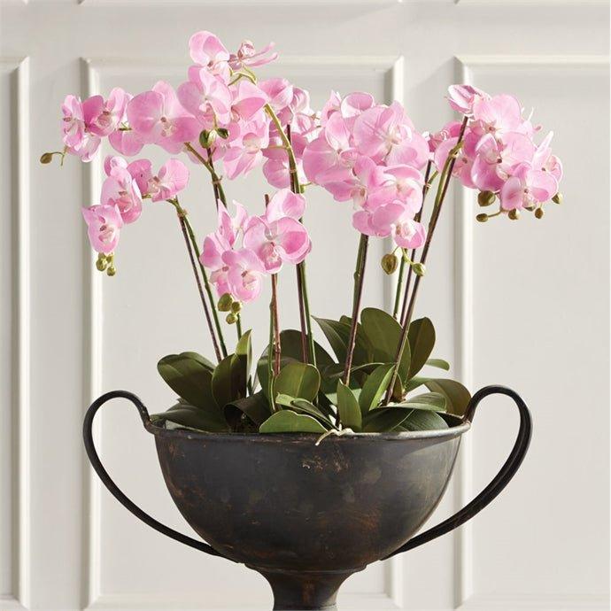 Phalaenopsis Faux Pink Orchid Drop-In - Florals & Greenery - The Well Appointed House