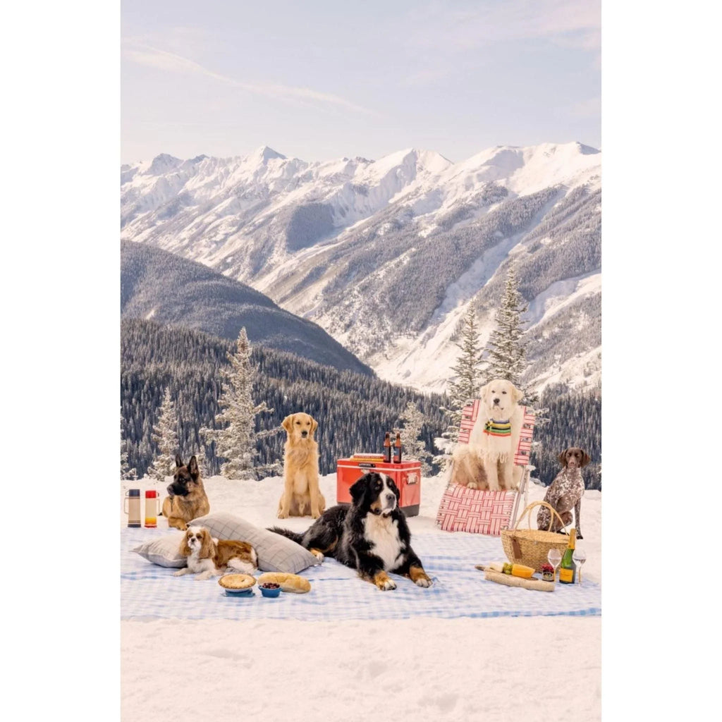Picnic Party Vertical on the Top of Aspen Mountain Print by Gray Malin - Photography - The Well Appointed House