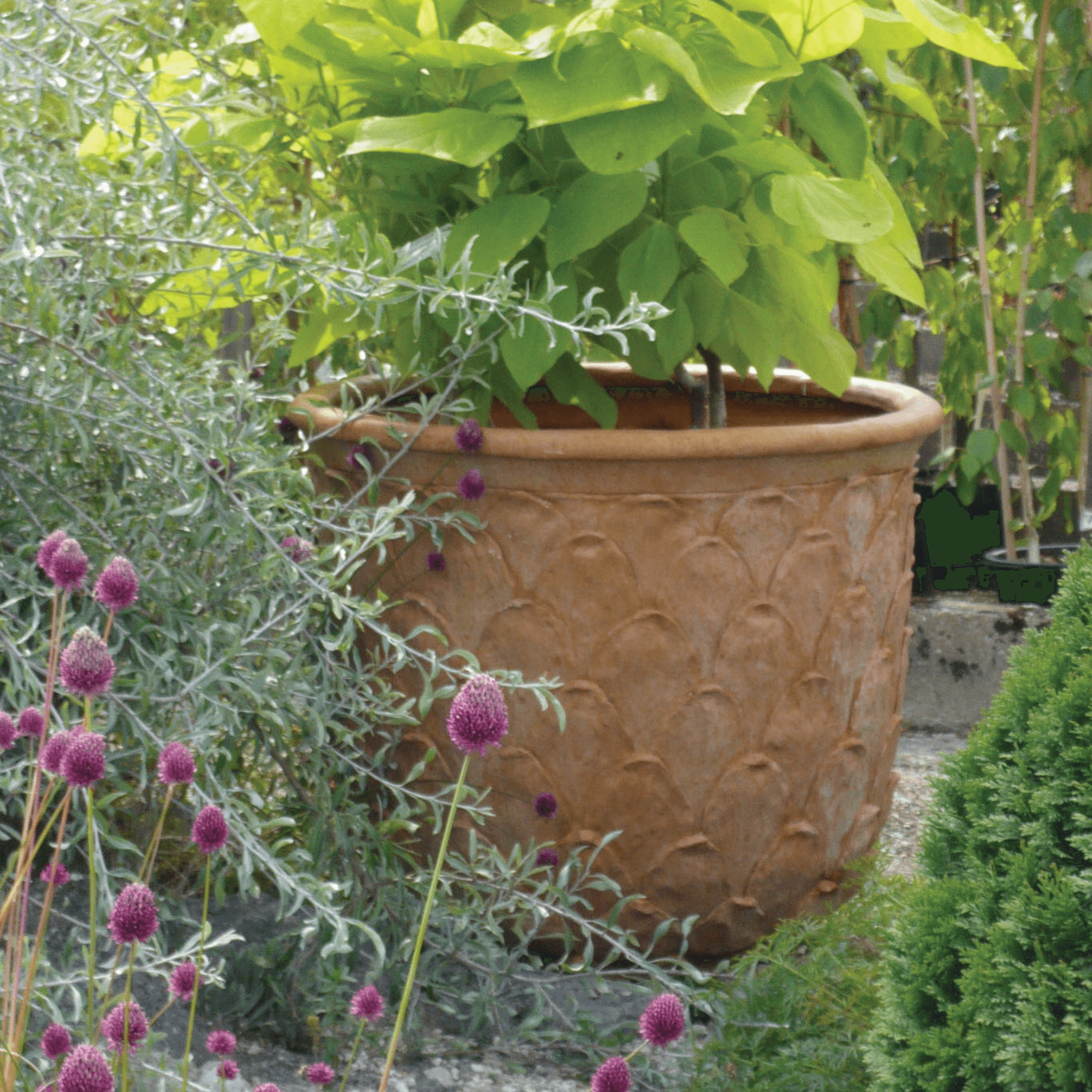 pineapple pots for plants Pineapple Corten Fibreglass Lightweight Round Medium Planter Pot Outdoor D53 H46 cm, 101L