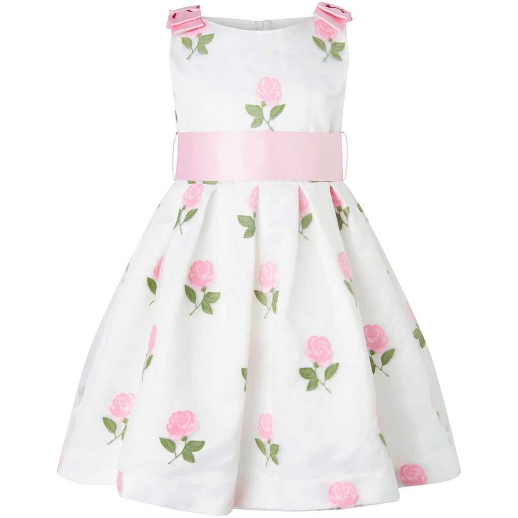 Pink Rose Embroidered Organza Dress - The Well Appointed House 