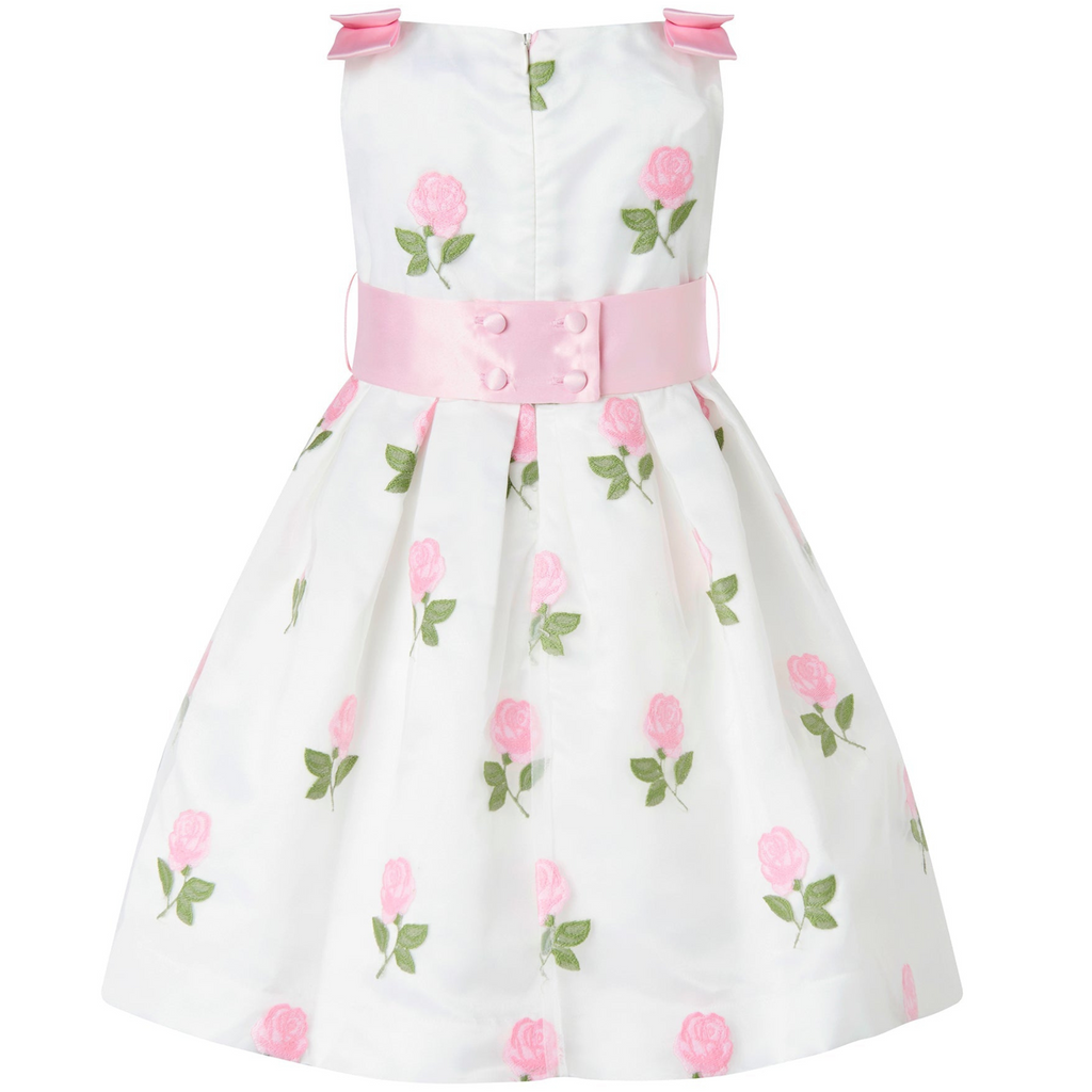 Pink Rose Embroidered Organza Dress - The Well Appointed House 
