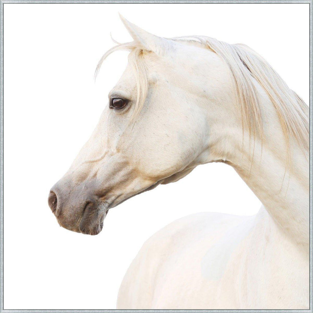 Portrait of a Pearl Horse on Canvas Framed Wall Art - Paintings - The Well Appointed House