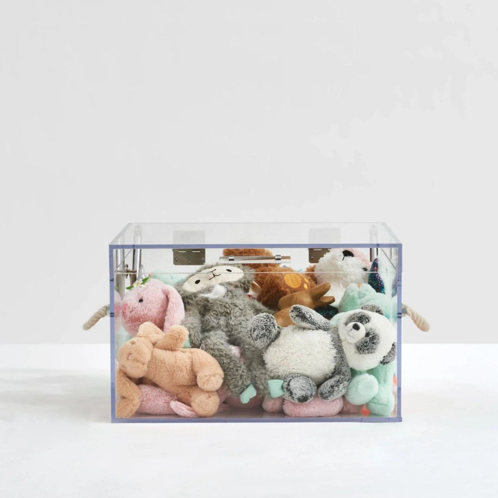 Rectangular Clear Storage Trunk with Rope Handles - Little Loves Baskets & Hampers - The Well Appointed House