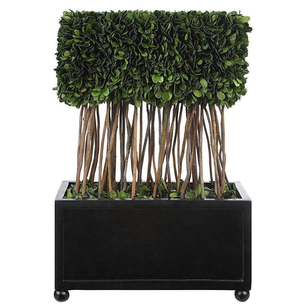 Rectangular Faux Boxwood Topiary in Black Ball Footed Planter - Florals & Greenery - The Well Appointed House