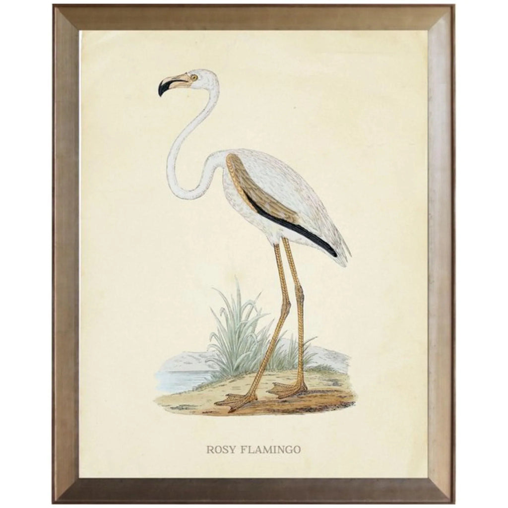 Rosy Flamingo Framed Wall Art - Paintings - The Well Appointed House