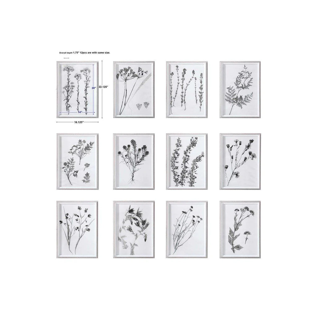Set of 12 Contemporary Florals Framed Botanical Prints - Paintings - The Well Appointed House