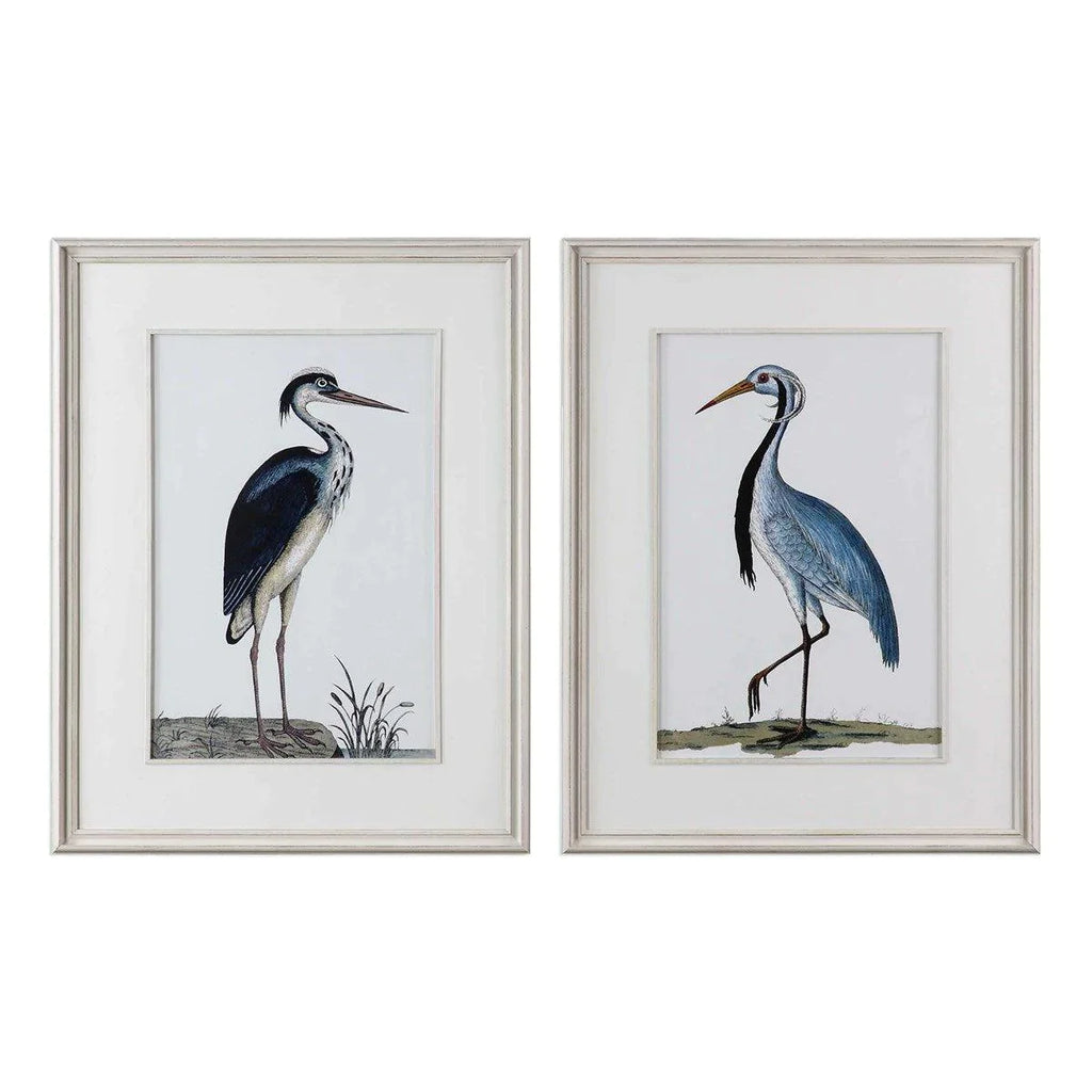 Set of 2 Coastal Framed Bird Prints – The Well Appointed House