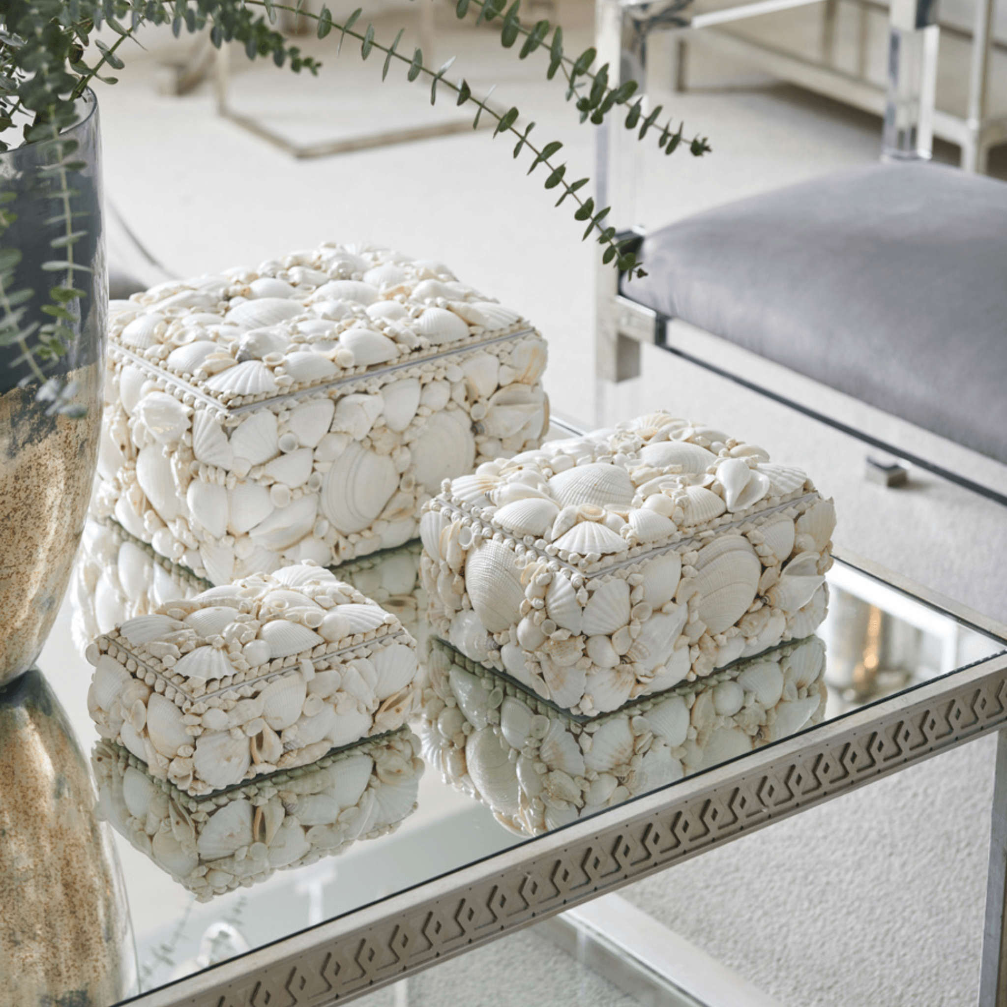 Set of 3 Natural White Decorative Shell Boxes – The Well Appointed House
