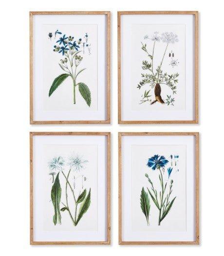 Set of 4 Framed Mountain Botanical Prints - Paintings - The Well Appointed House