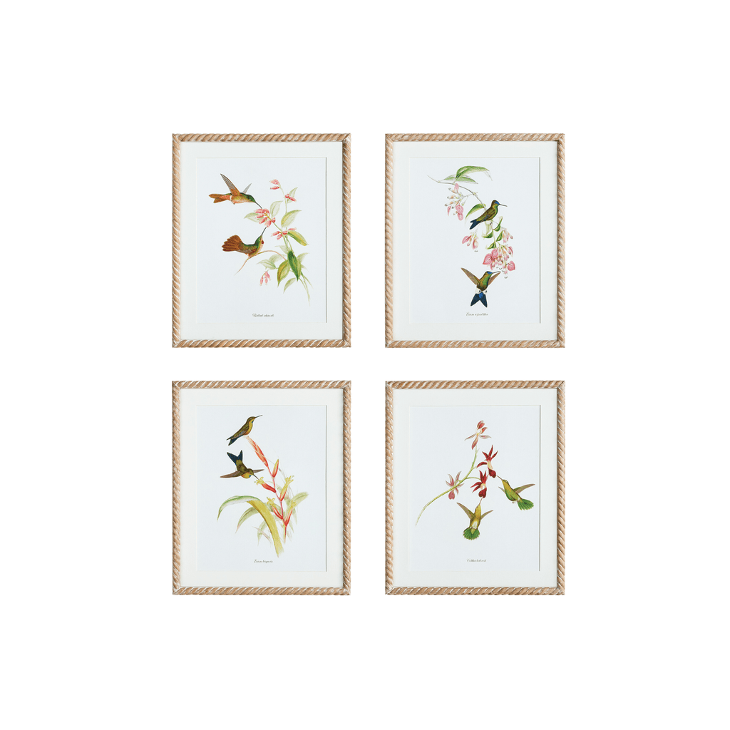 Set of 4 Hummingbird Framed Prints - Paintings - The Well Appointed House