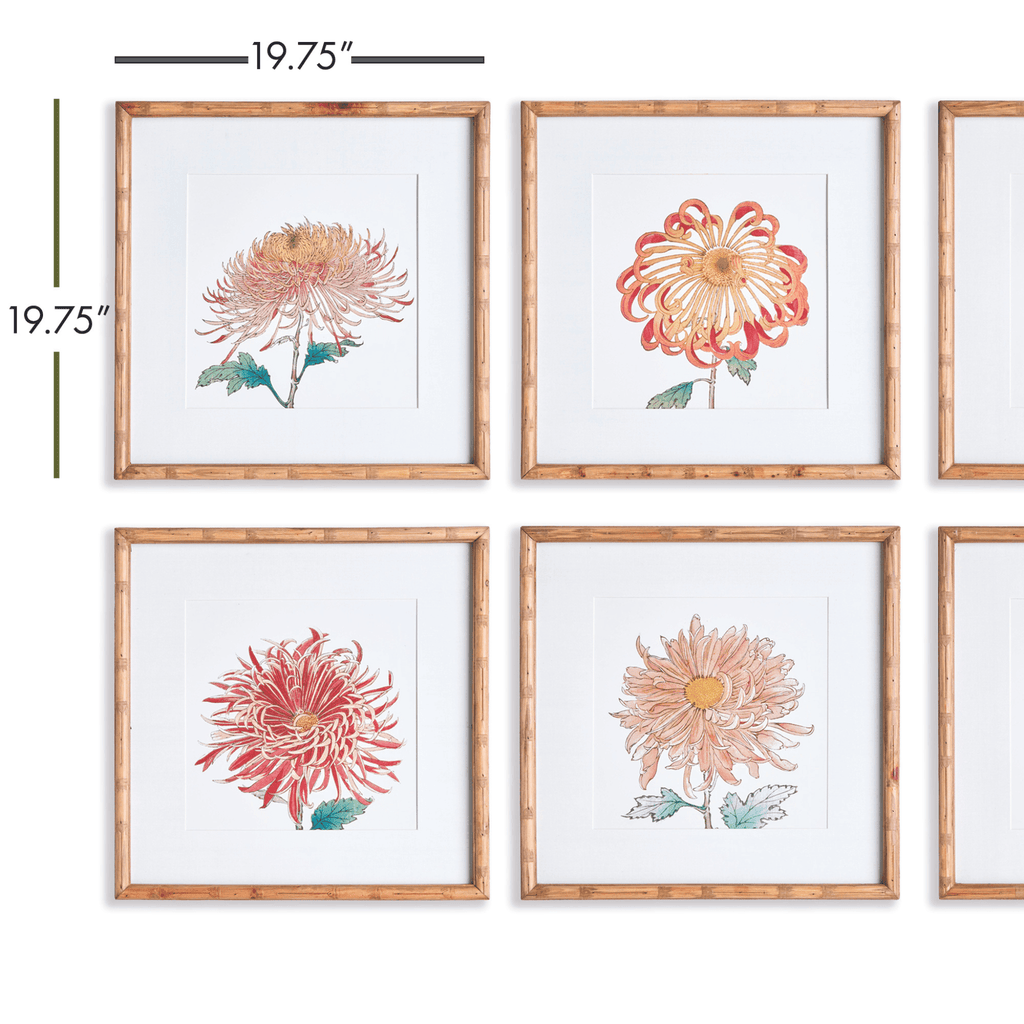 Set of 6 Colorful Chrysanthemum Framed Prints - Paintings - The Well Appointed House