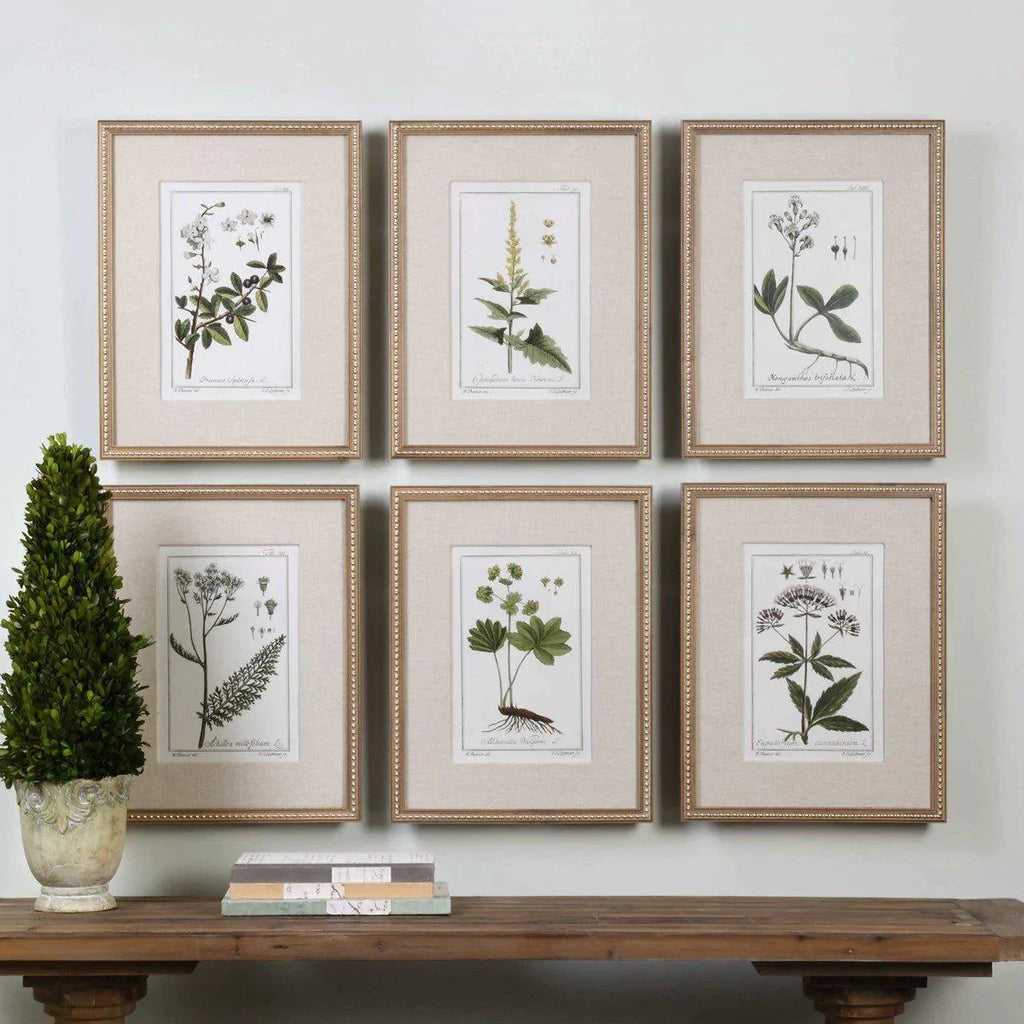 Set of 6 Green Floral Botanical Study Prints in Wooden Frame - Paintings - The Well Appointed House