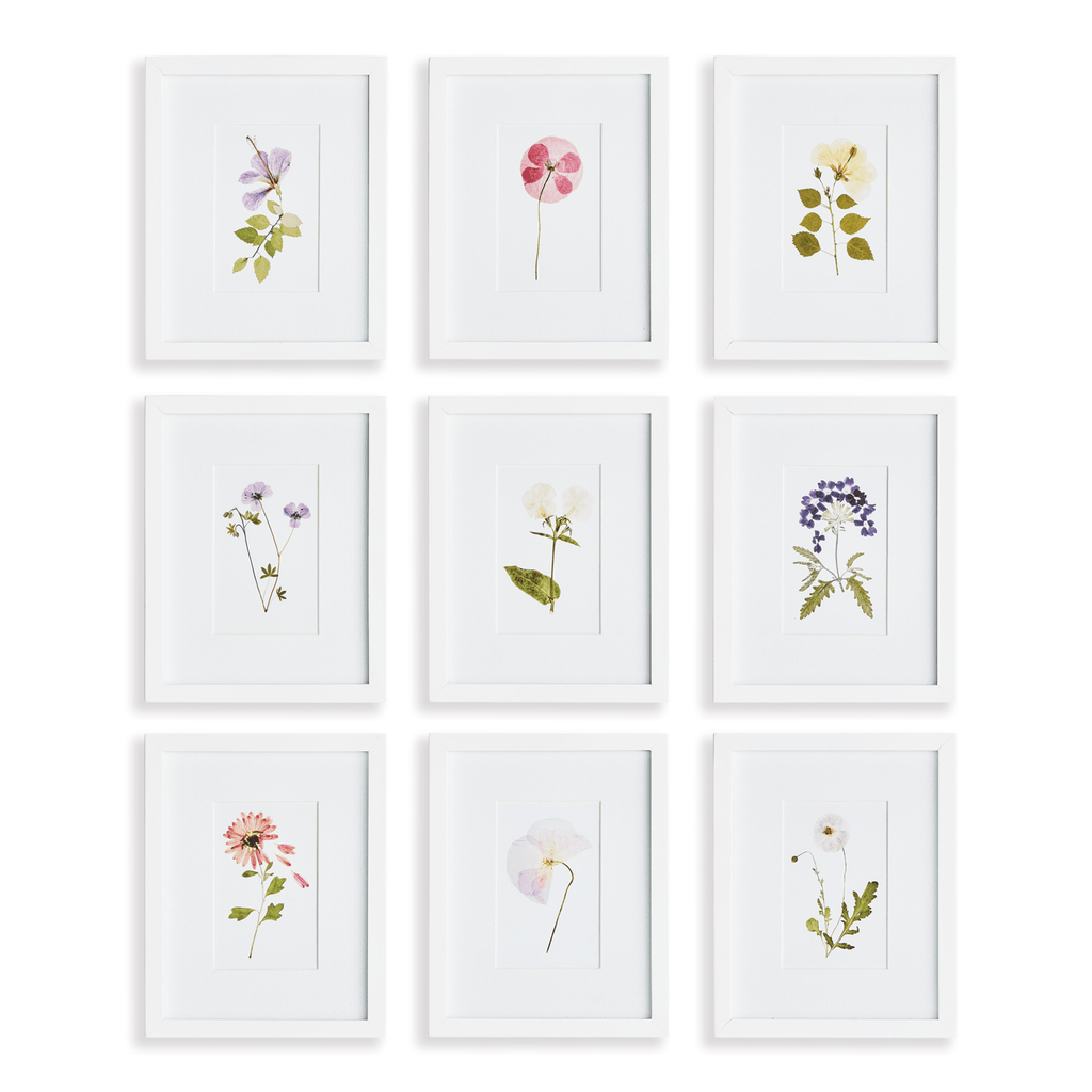 Set of 9 Mountain Flower Petite Framed Prints - Paintings - The Well Appointed House