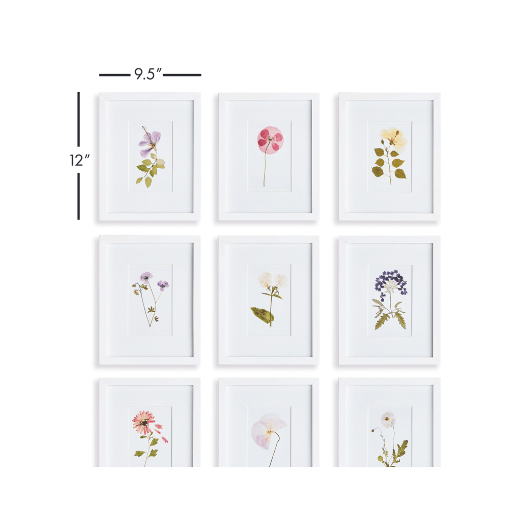 Set of 9 Mountain Flower Petite Framed Prints - Paintings - The Well Appointed House