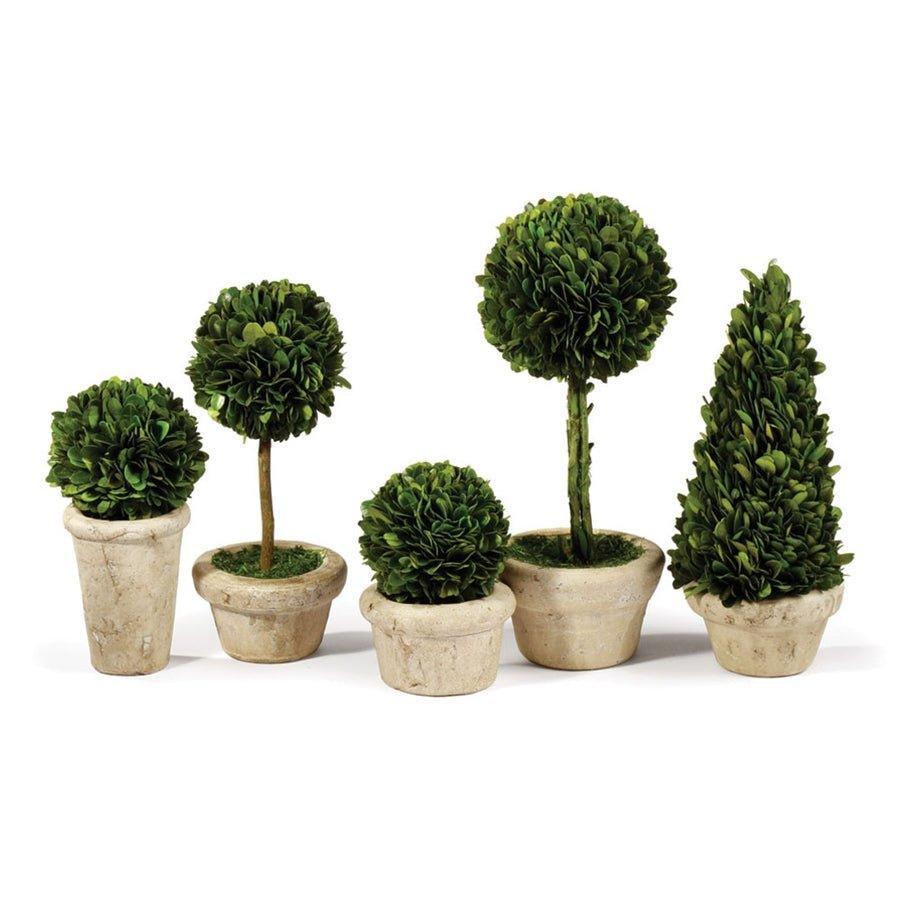 Set of Five Boxwood Topiaries in Pots - Florals & Greenery - The Well Appointed House