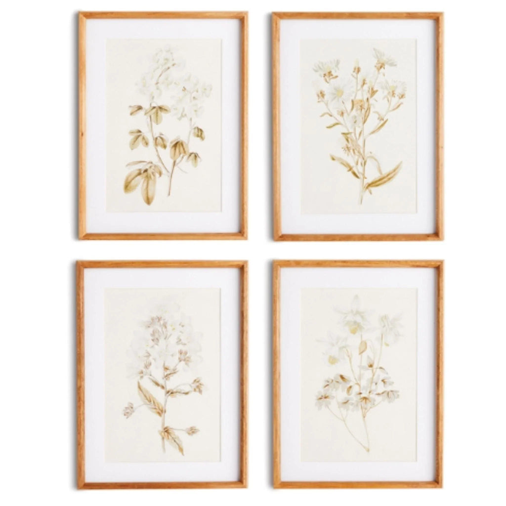 Set of Four Fleur De Blanc Prints in Natural Wood Frames - Paintings - The Well Appointed House