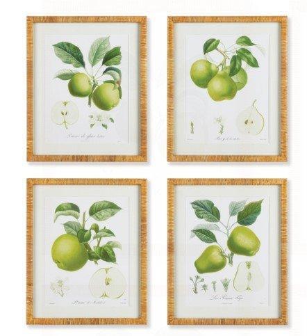 Set of Four Framed Green Fruit Study Prints - Paintings - The Well Appointed House