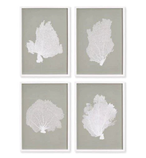 Set of Four Framed Grey and White Coral Fans Study - Framed Objects, Maps & Posters - The Well Appointed House