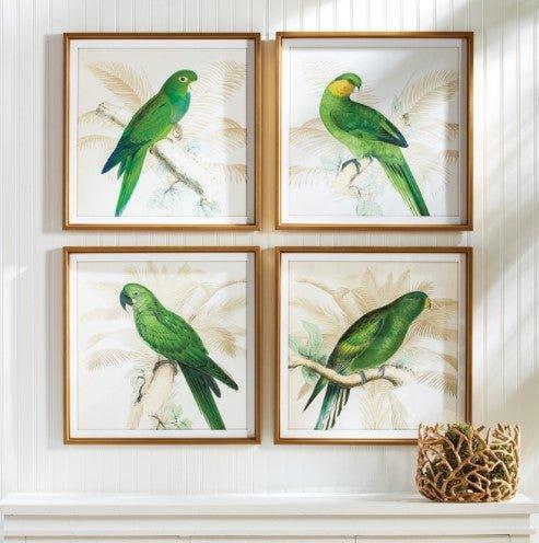 Set of Four Green Parrot Study Framed Prints - Paintings - The Well Appointed House