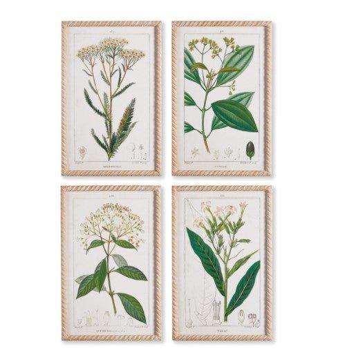 Set of Four Meadow Botanical Study Prints - Paintings - The Well Appointed House
