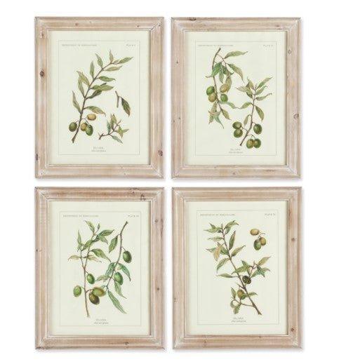 Set of Four Whitewash Framed Olive Leaf Prints - Paintings - The Well Appointed House