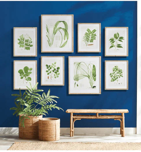 Set of Six Framed & Matted Tree Leaf Prints - Paintings - The Well Appointed House
